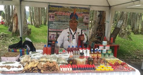 Manosunidas Promueve El Turismo En Ecuador Medicina Ancestral