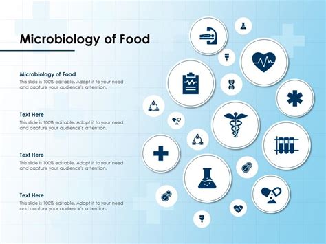 Microbiology Of Food Ppt Powerpoint Presentation Pictures Designs