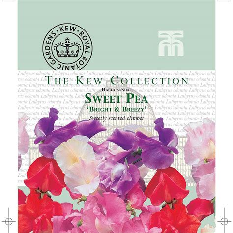Sweet Pea Bright And Breezy Kew Collection Seeds Thompson And Morgan