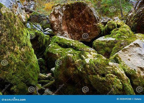 Huge Mossy Boulders On Mountain Stock Photo Image Of Moss Nature