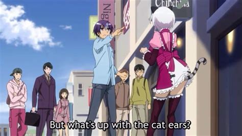 Kemonomimi Animal Ears Anime Amino