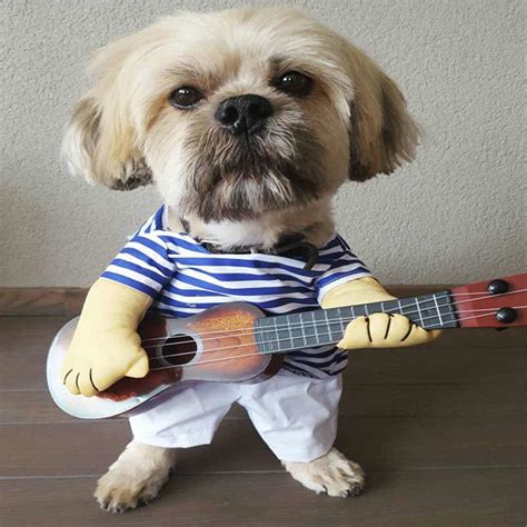Funny Dog Costumes Guitar Player Pet Clothes Puppy Outfit