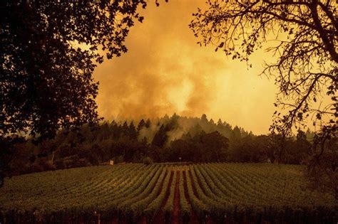 California Wildfire Evacuees Return Home To Find Devastation Nation
