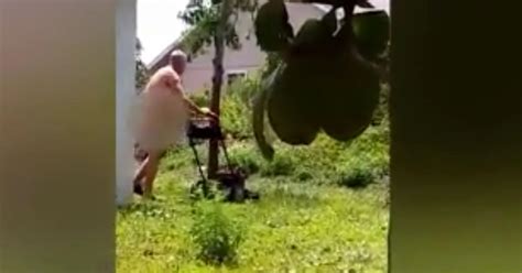 Florida Man Caught On Camera Mowing Yard Naked Fights To Get Job Back