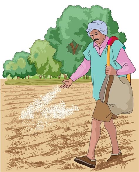 Premium Vector Farmer Sowing Seeds In The Field