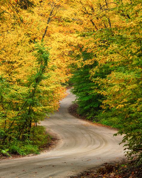 Winding Dirt Road And Yellow Leaves Archives