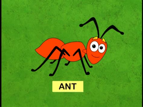 Ant Dora The Explorer Wiki Fandom