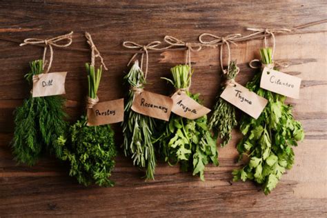 Identifying Herbs For Your First Herb Garden Kincaid Plant Markers