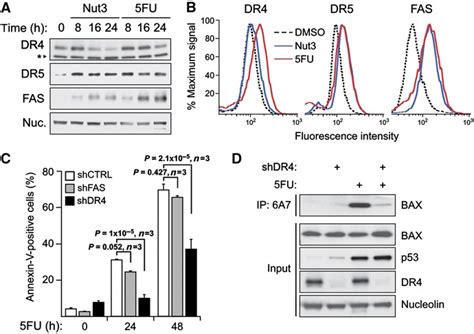 DR4 is required for stimulus-specific BAX activation and ...