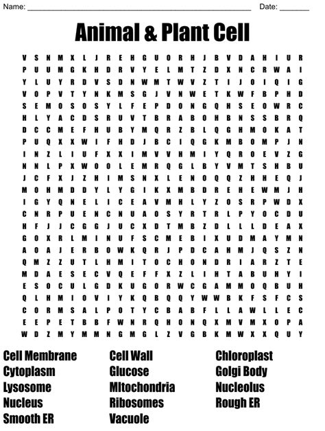 Plant And Animal Cell Word Search Wordmint