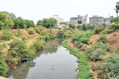 Nature Lovers Release Short Film On Vishwamitri Vadodara News Times