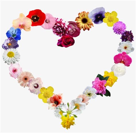 Heartshapes Heart Flowers Shape Flower Free Transparent Png