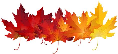 Autumn Leaf Color Clip Art Red Autumn Leaves Transparent Clip Art