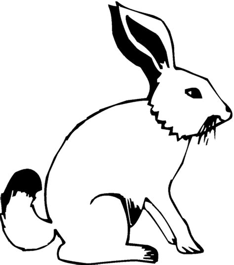 Arctic Hare Coloring Page Coloring Home