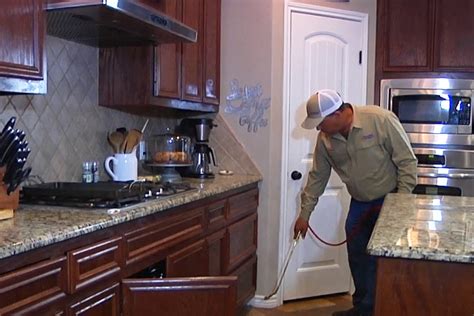 Pest control in mesquite, tx. Guaranteed Residential Exterminators | TotalPro Pest ...