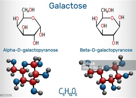 Galactose Alphadgalactopyranose Bêtadgalactopyranose Molécule De Sucre