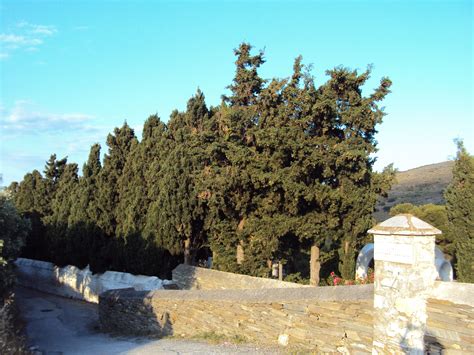 A Stone Wall With Trees In The Background
