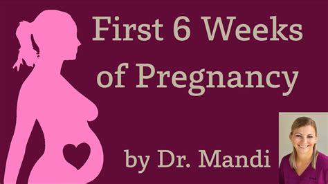 First Six Weeks Of Pregnancy Youtube