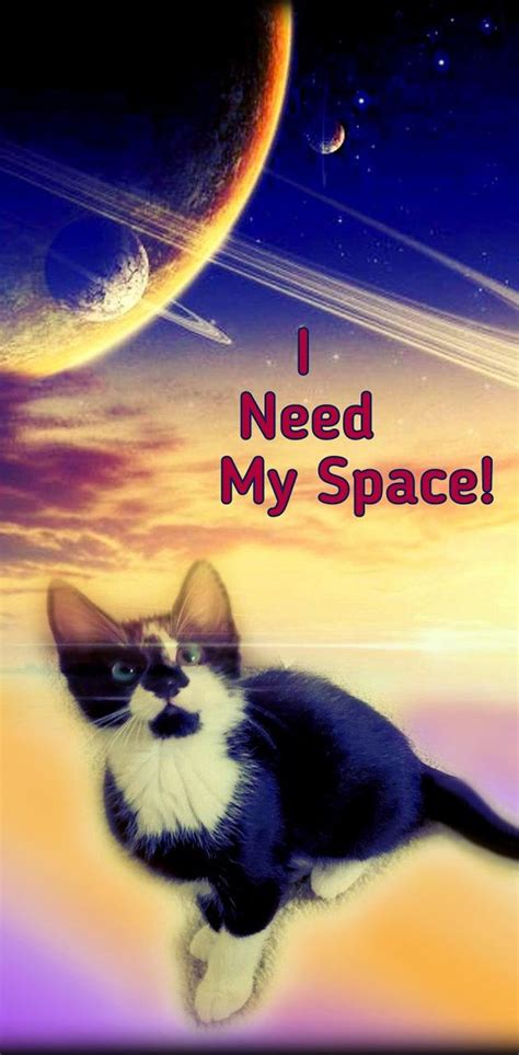 Need My Space Cat Wallpaper By 1artfulangel Download On Zedge F454