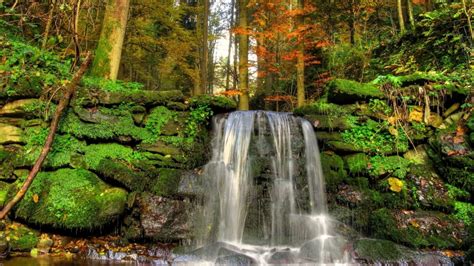 Download 3840x2160 Waterfall Moss Forest Rocks Stream Wallpapers