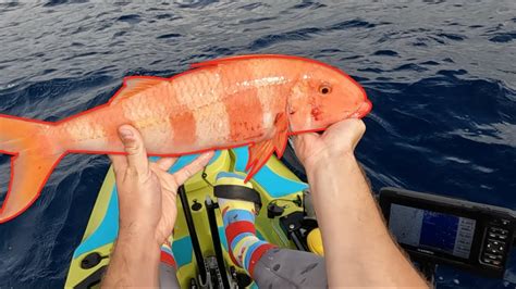 Slow Pitch Jigging Hawaii Mega Goatfish Youtube