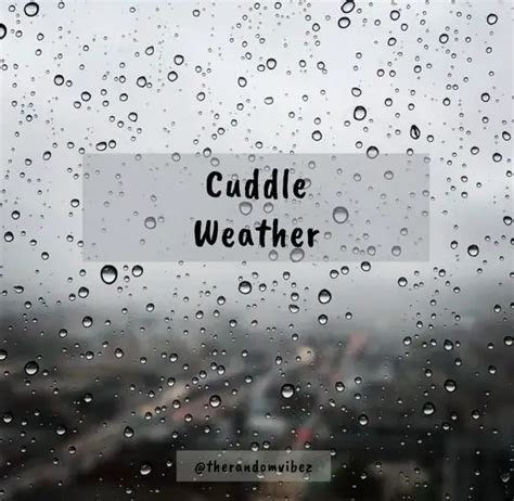 45 Cuddle Weather Quotes Perfect For Cold Rainy Days