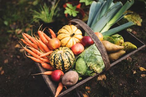 There's a lot of confusion in the vegetable gardening world about fertilizing. How to Grow Organic Vegetables at Home - Step by Step Guide
