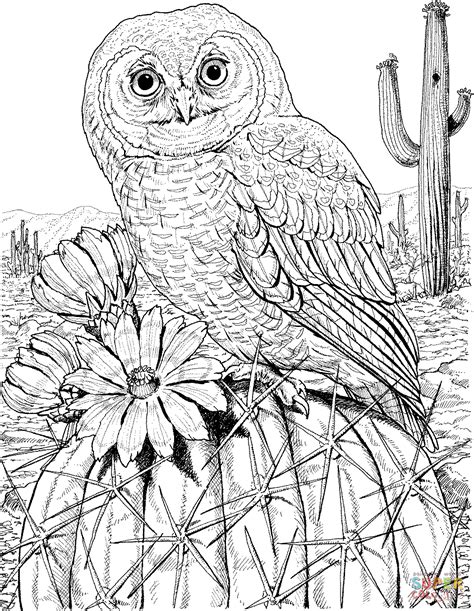 Mandala Owl Coloring Pages Colored Coloring Pages And Coloring Books