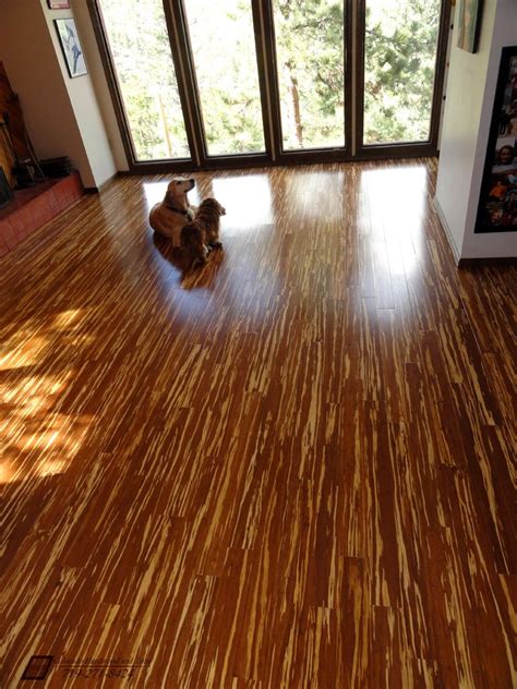 Bamboo Vs Cork Flooring Pros And Cons Carmella Crews