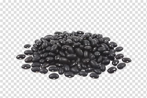 Free Black Beans Cliparts Download Free Black Beans Cliparts Png