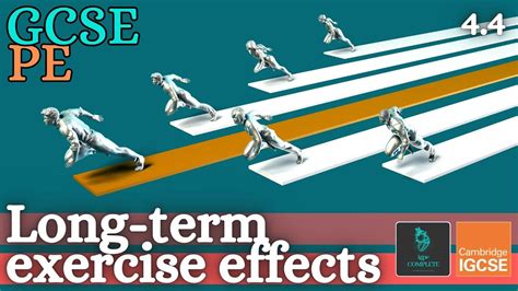 Gcse Pe Long Term Effects Of Exercise Anatomy And Physiology