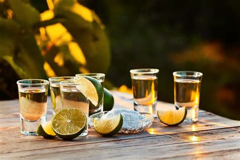 Tequila Sipping Glasses By Altos Barman Altos Tequila