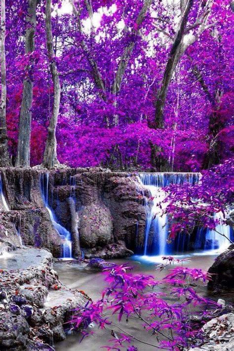 37 Best Purple Scenery Images On Pinterest Lavender Purple Stuff And