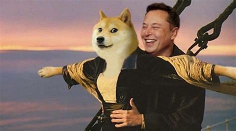 Why Is Elon Musk Interested In Dogecoin Causal Effect Of Elon Musk