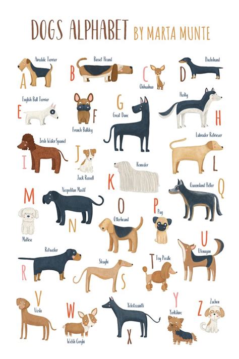 A To Z Dog Breed Names