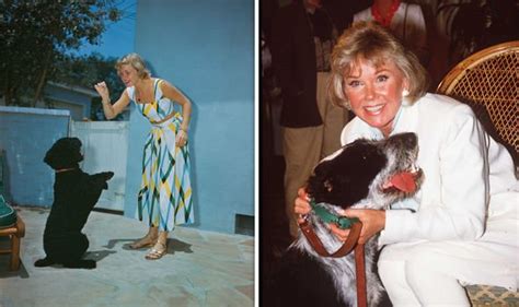 Doris Day Heartbreaking Reason Why Actress Devoted Life To Animal