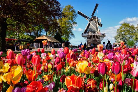 Discover The Vibrant Colors Of Keukenhof A Perfect Day Trip From Amsterdam Amsterdam Travel Guide