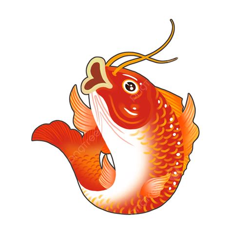 Red Carp Carp Koi Red Koi Png Transparent Image And Clipart For Free