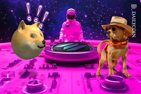 Solanas Bonk Faces Dogwifhat In Battle For Sol Top Dog Status Dailycoin