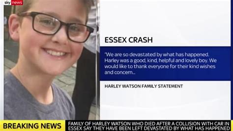 Harley Watson Died From Severe Head Injuries In Loughton Hit And Run Daily Star