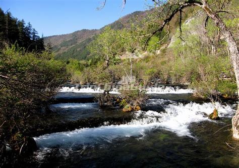 Jiuzhaigou Park Spring Scenery Sichuan Spring In Jiuzhaigou Valley