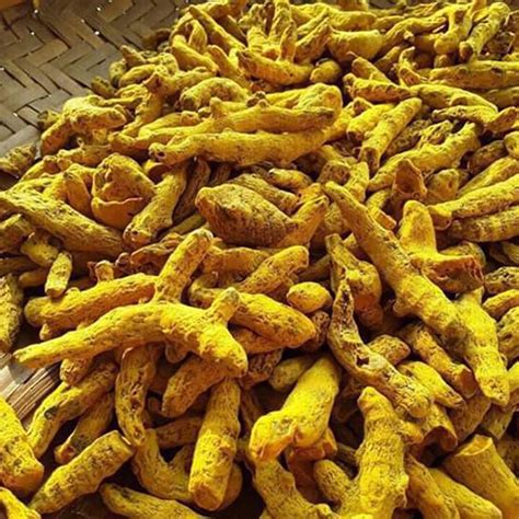 Finger Dried Tumeric Mai Hoa Phu Production Import Export Trading