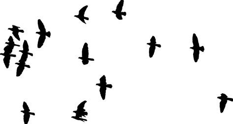 Bird Flight Flock Clip Art Birds Silhouette Png Download 22461202