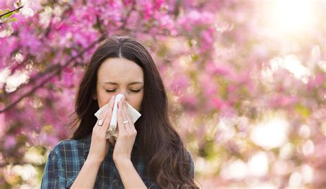 Chiropractic Care For Spring Allergies Bend Total Body Chiropractic