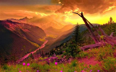 Mountain Valley Sunset Beautiful Nature Scenery Mount Rainier