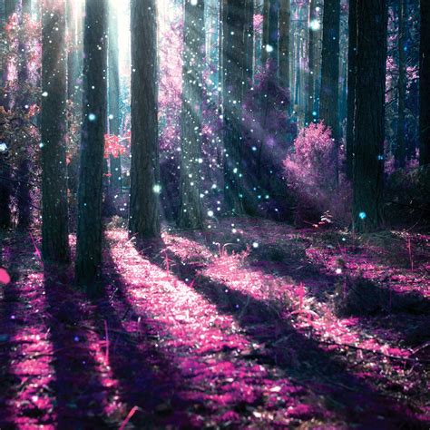 Magical Forest Fantasy Landscape Forest Wall Mural Glass Wall Art