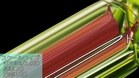 【200以上】 Aviutl 画像 引き伸ばし - 最高の画像画像