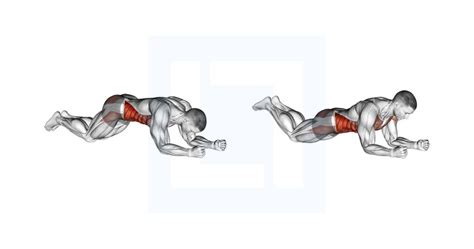Kneeling Plank Guide Benefits And Form