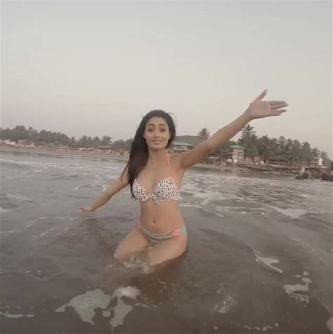 Tridha Choudhury Tv Star Shares Bikini Video On Instagram Celebspic