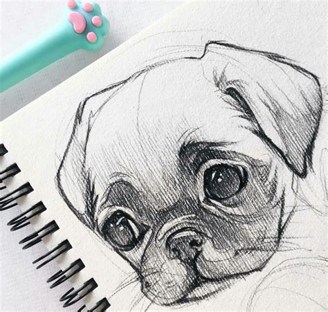 Cool Pencil Drawing Ideas Animals